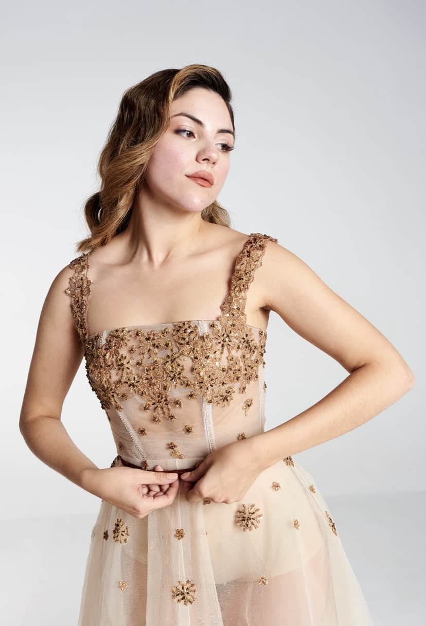 Sheer Silk Tulle Bustier Gown - Nico Collective